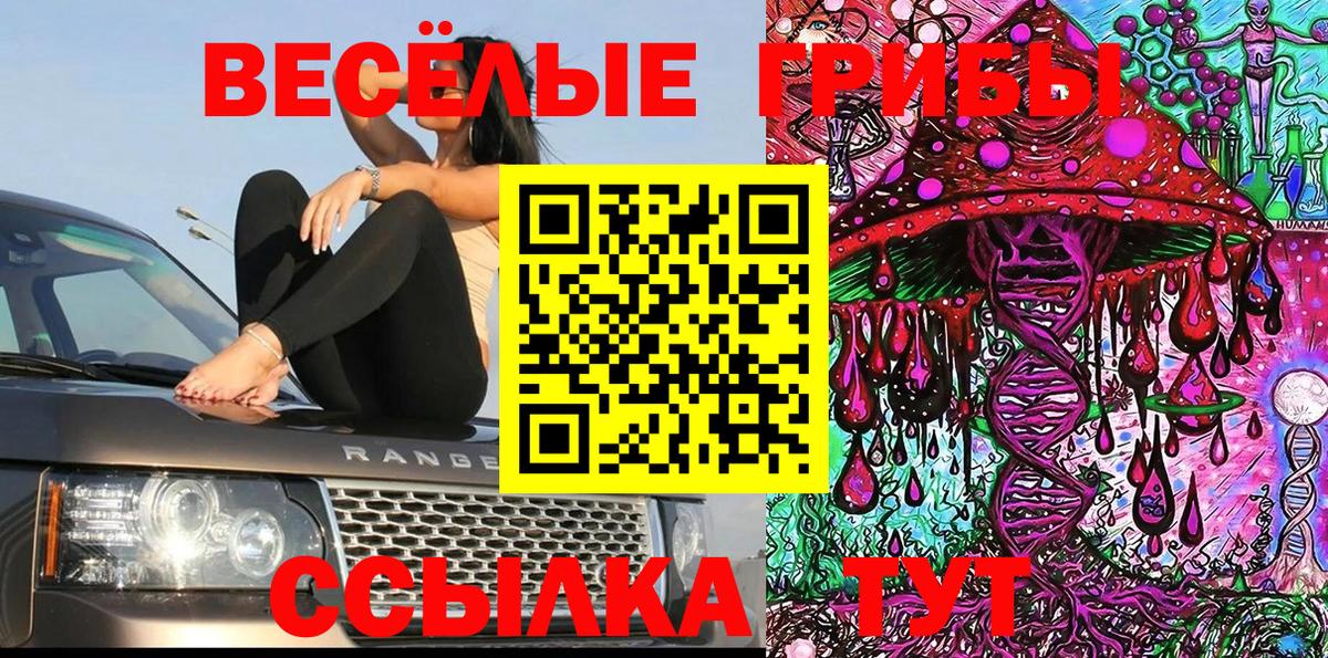 Галлюциногенные грибы Psilocybe Бахчисарай
