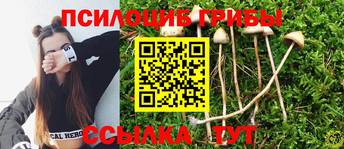 Галлюциногенные грибы Magic Shrooms  Вход с VPN  Бахчисарай 